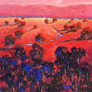 Colours Of The Outback